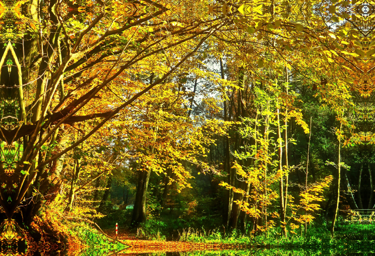 Herbstweg entlang der Nieste