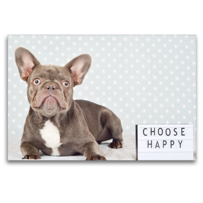 Choose Happy - Französische Bulldogge macht 'happy'