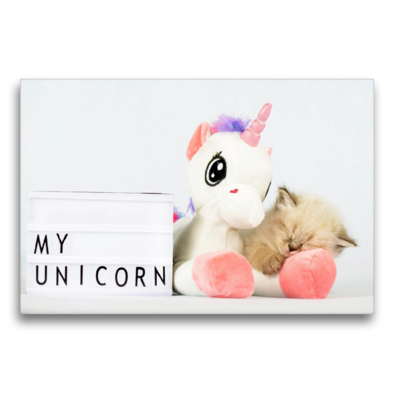 My Unicorn - Kätzchen kuschelt mit Einhorn