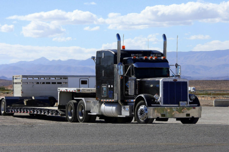 Schwarzer Peterbilt