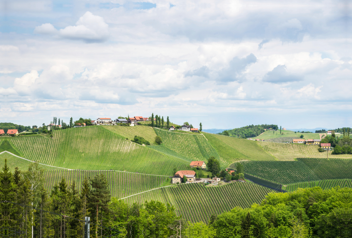 Weinberge in der Südsteiermark