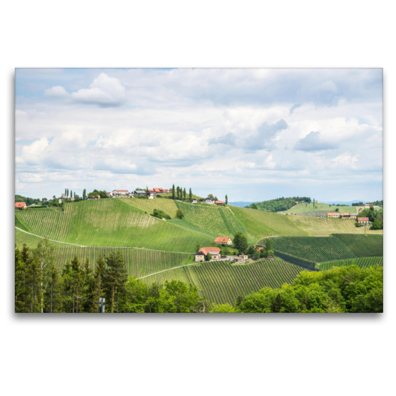 Weinberge in der Südsteiermark