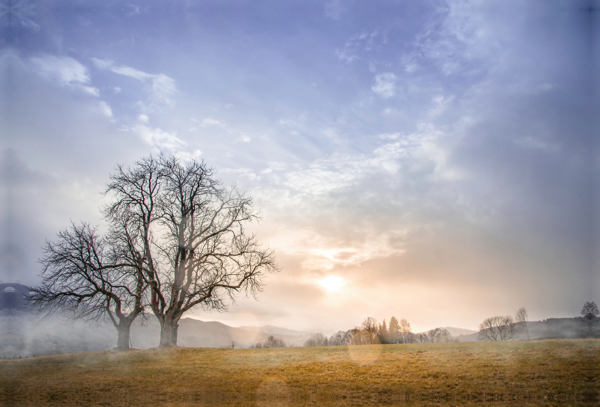 Landschaft im Nebel