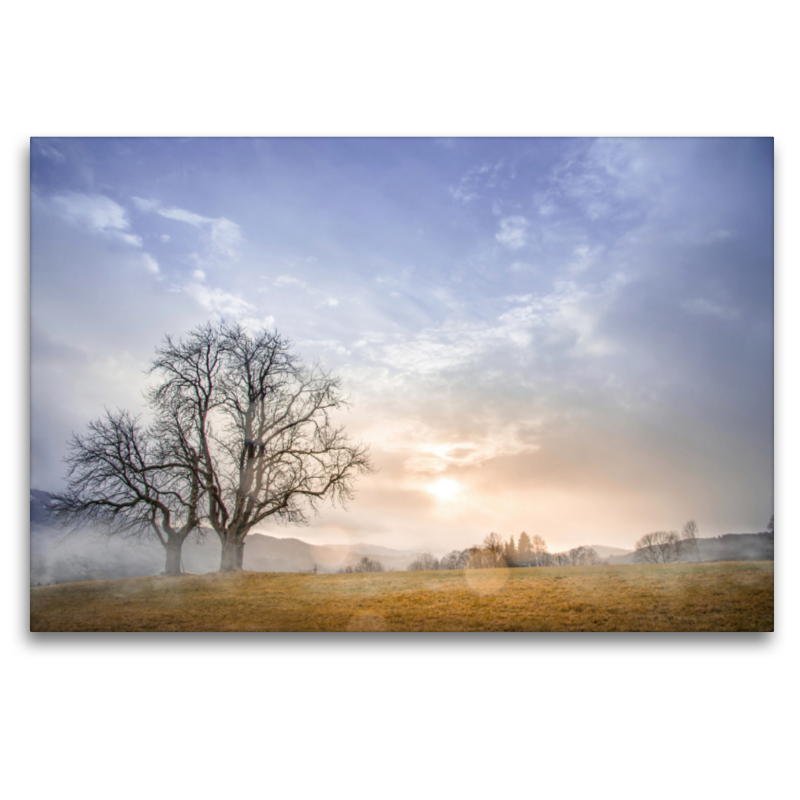 Landschaft im Nebel