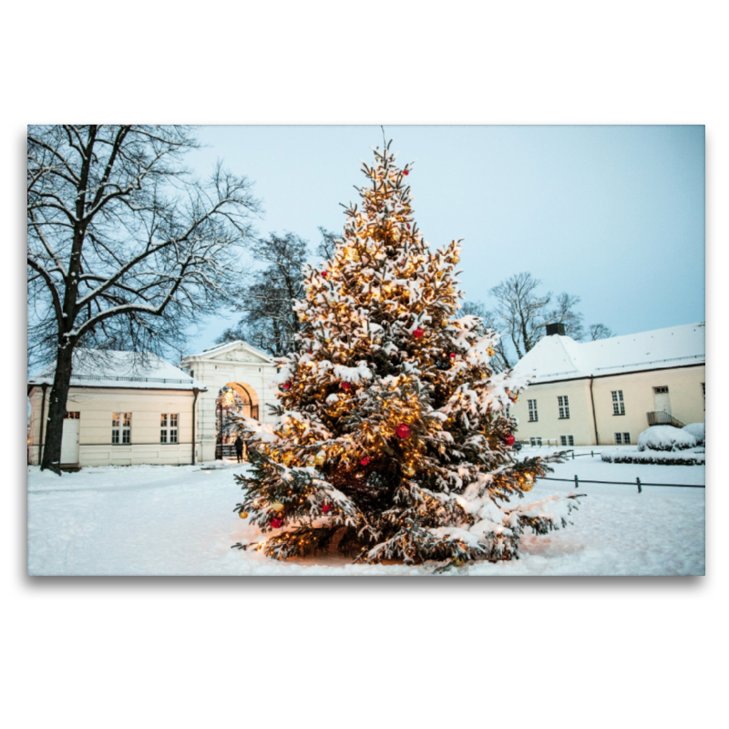 Zu Weihnachten leuchtet der Weihnachtsbaum vor dem Schloß