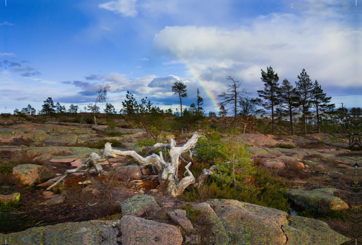 Schweden - Skuleskogen NP.