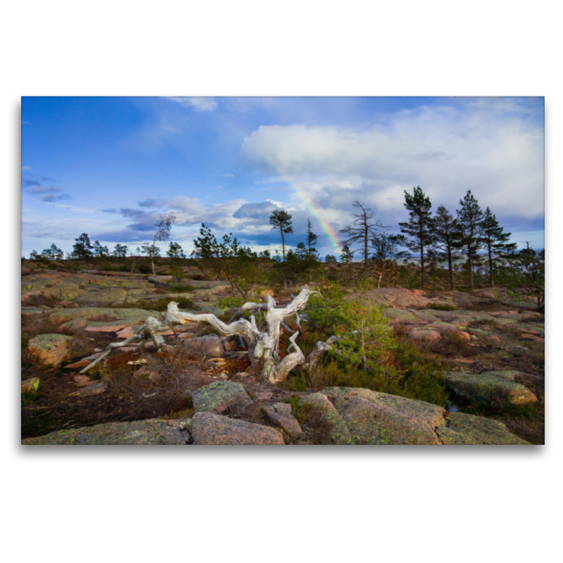 Schweden - Skuleskogen NP.