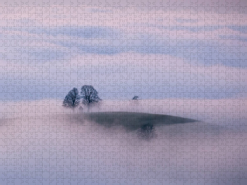 Oberdambach im Nebel