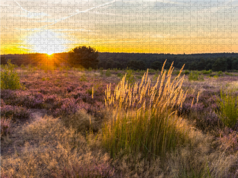 Sonnenuntergang in der Mehlinger Heide