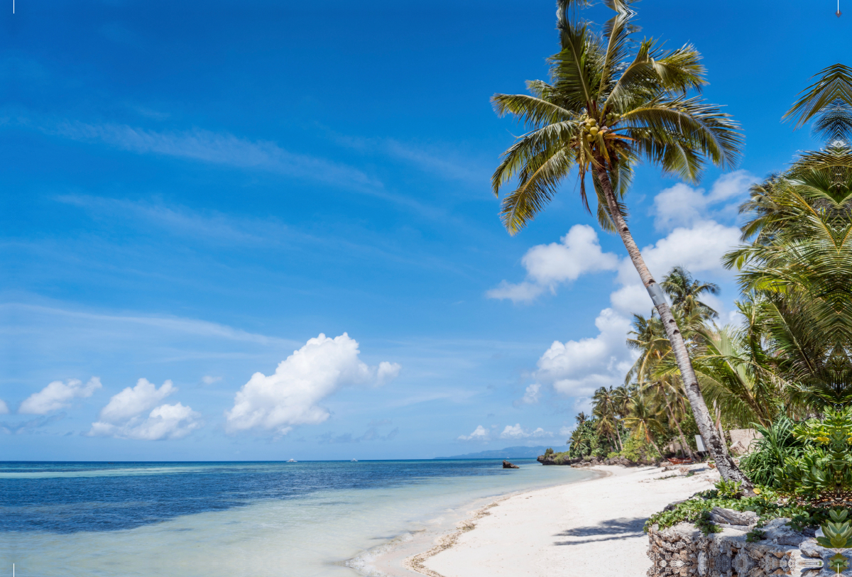 WHITE SAND BEACH BOHOL