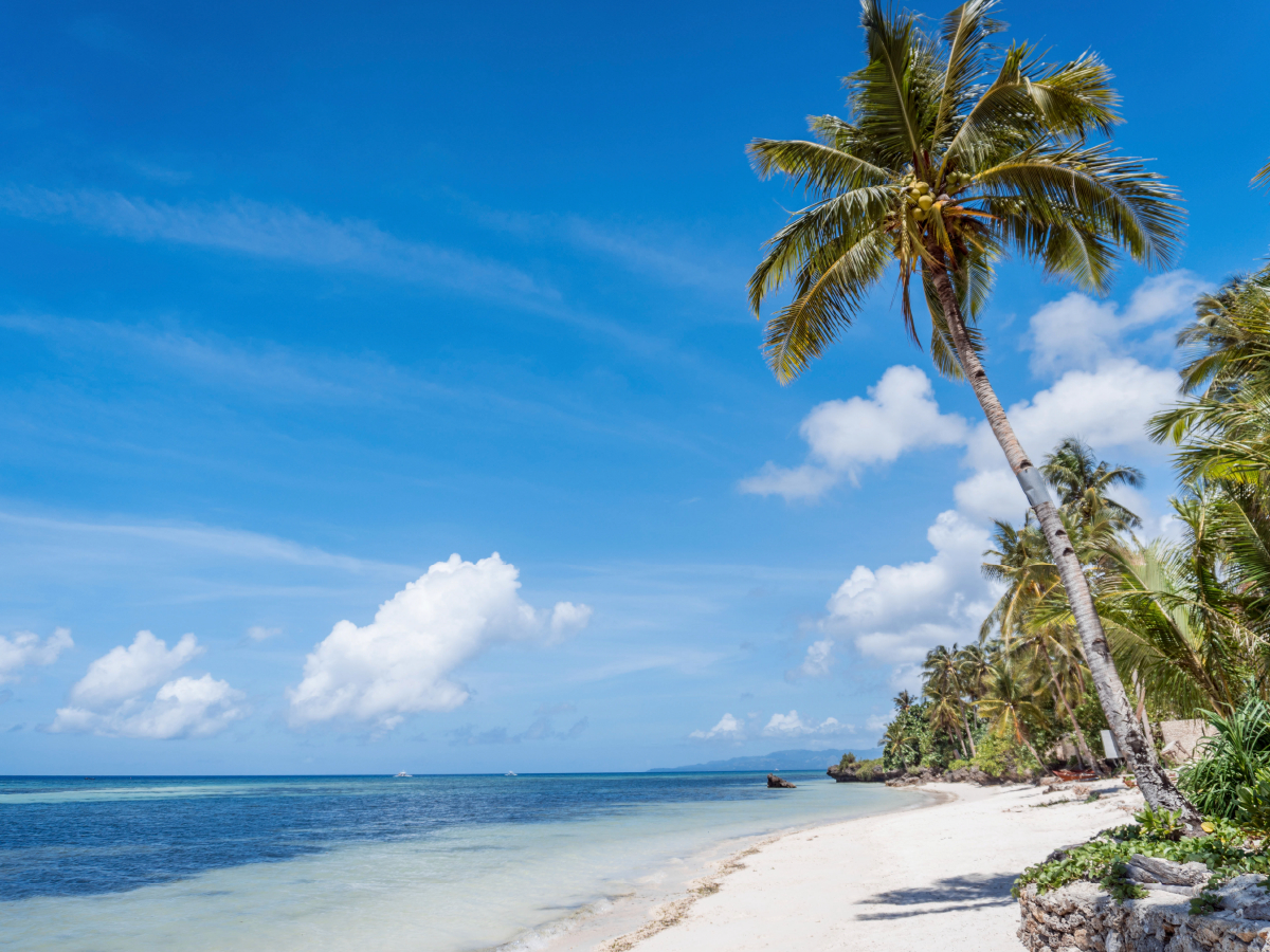 WHITE SAND BEACH BOHOL