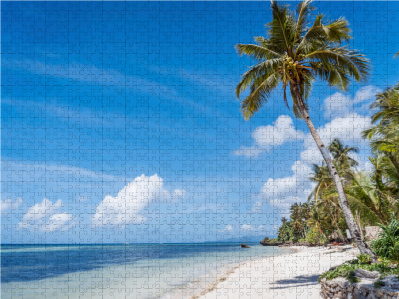 WHITE SAND BEACH BOHOL