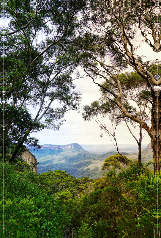 Blue Mountains