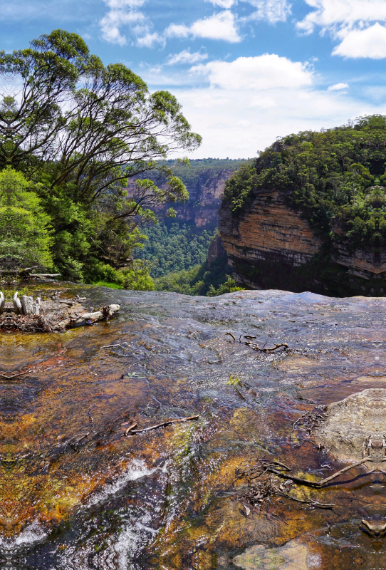 Blue Mountains