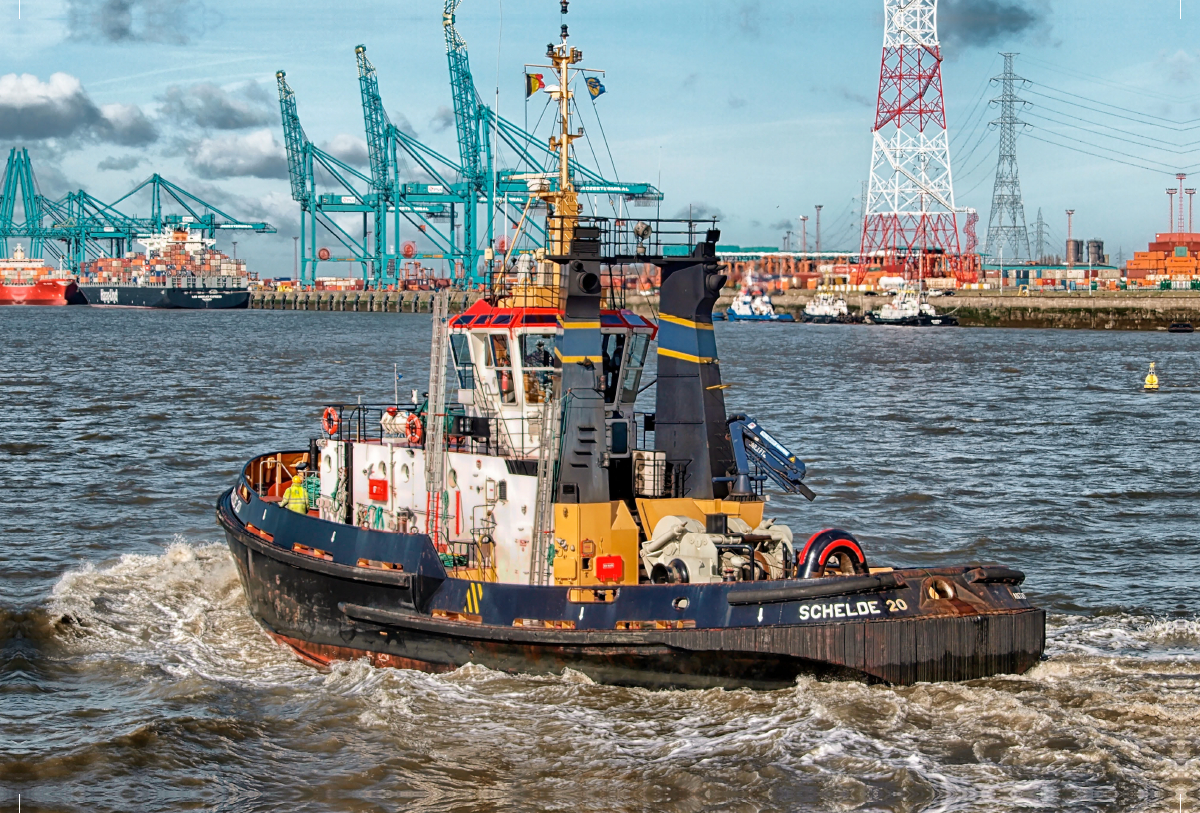 Schlepper Hafen Antwerpen