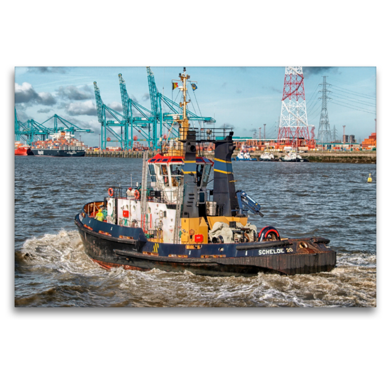 Schlepper Hafen Antwerpen