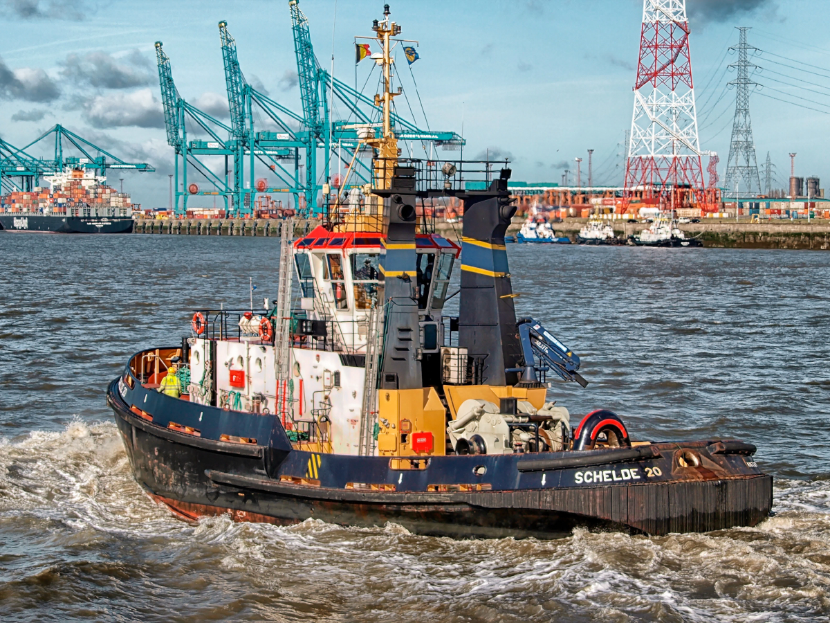 Schlepper Hafen Antwerpen