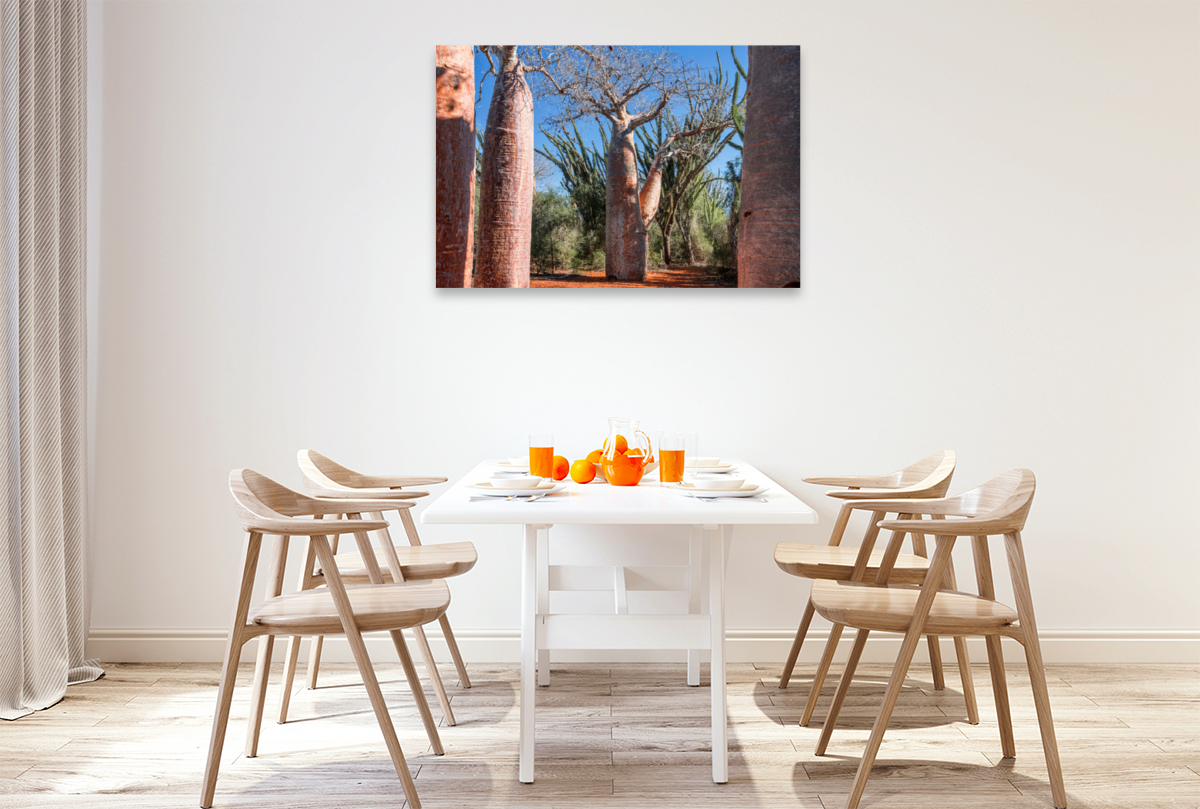 'Coffee Pot' Baobab (Adansonia rubrostipa) bei Ifaty