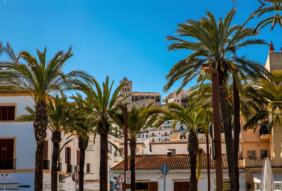 Palmen vor der Kathedrale von Ibiza