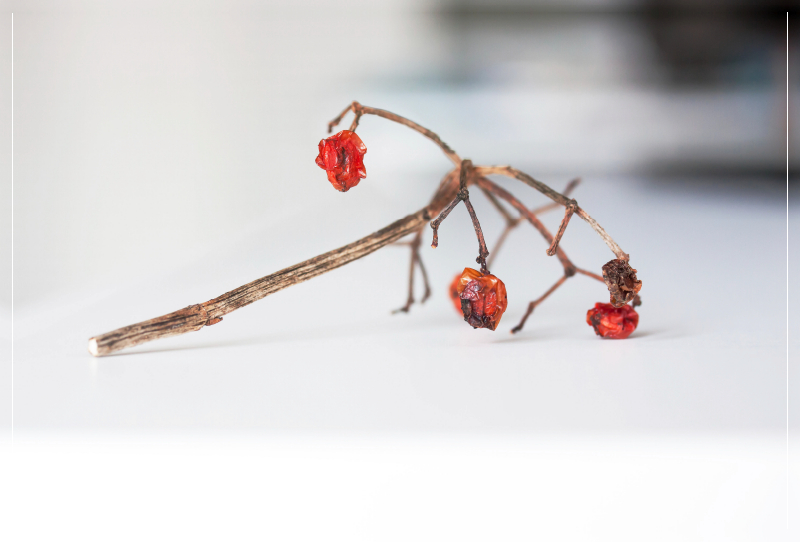 Beerenrot und Wollhandschuhe