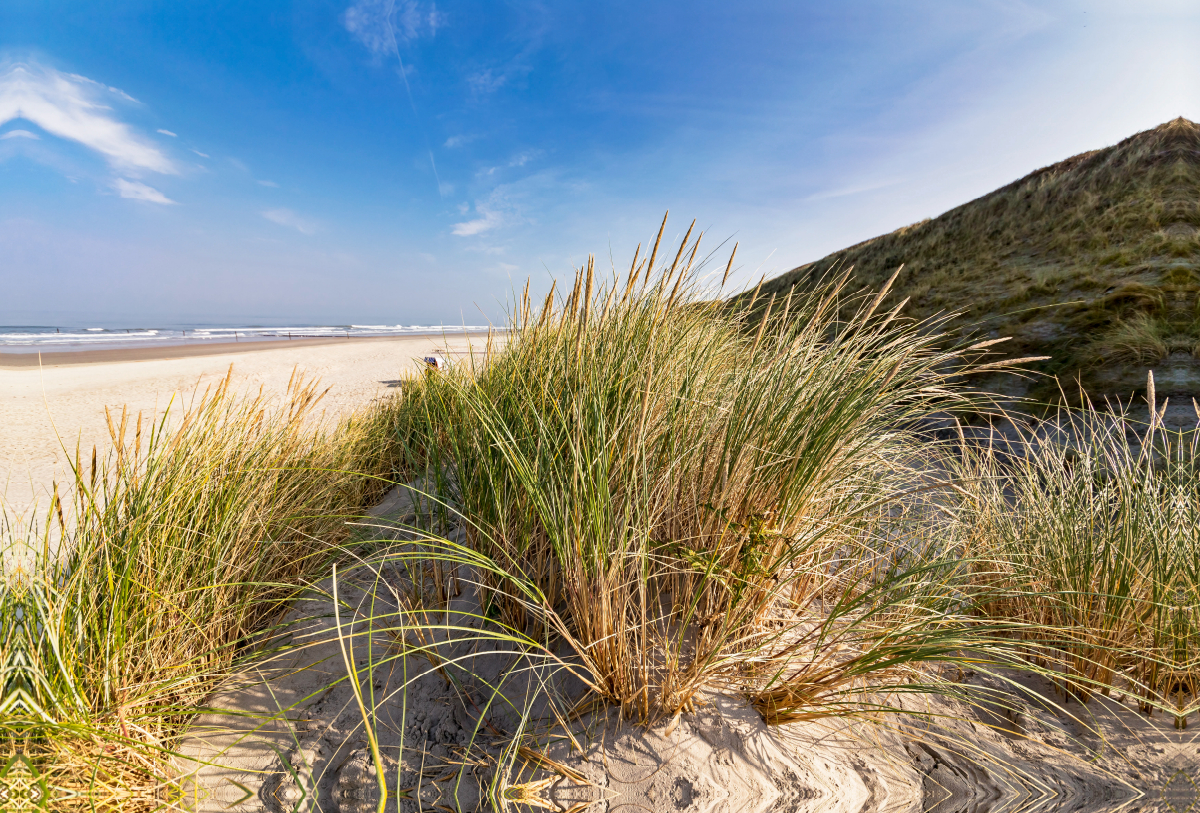 Nordstrand, Blick durch die Dünen