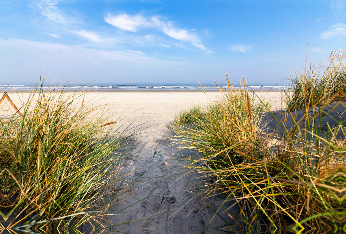 Blick durch den Strandhafer zum Strand