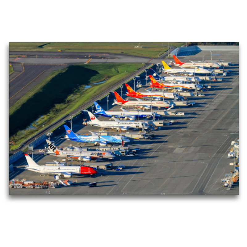 Various  Boeing 787  Everett (US)