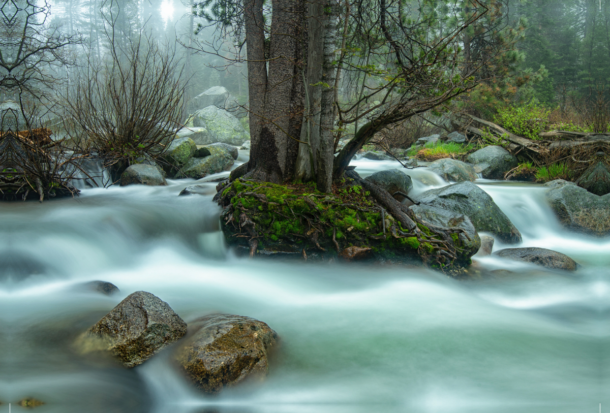 Bauminsel, USA, Marble Fork Kaweah River