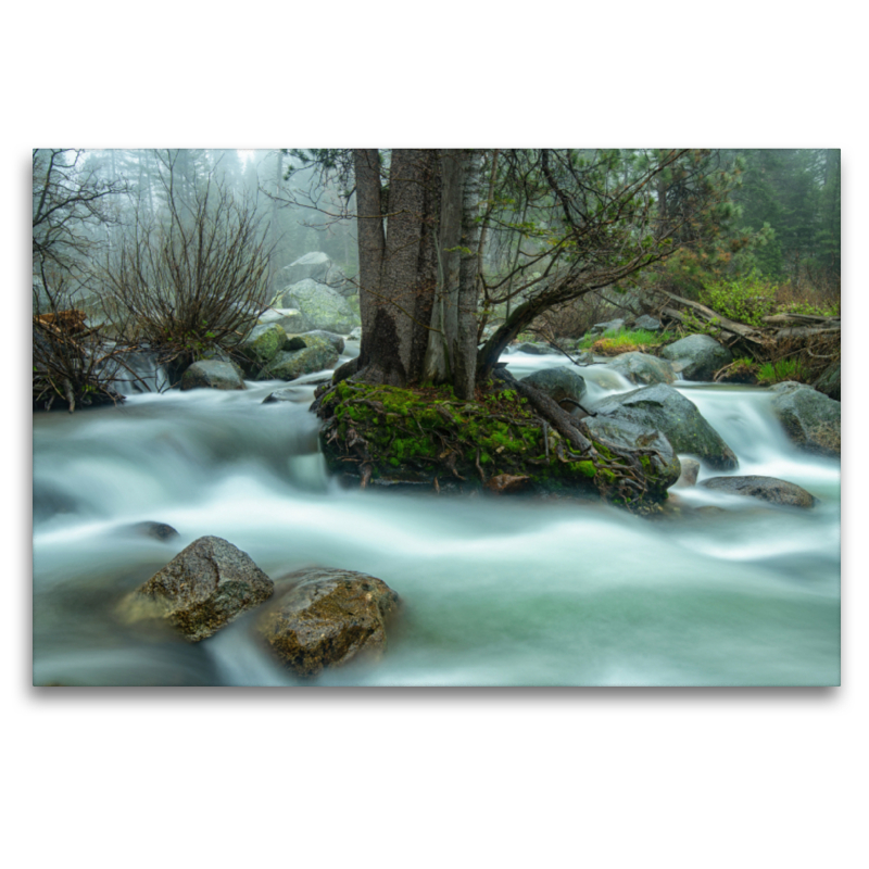 Bauminsel, USA, Marble Fork Kaweah River