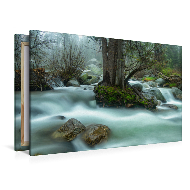 Bauminsel, USA, Marble Fork Kaweah River