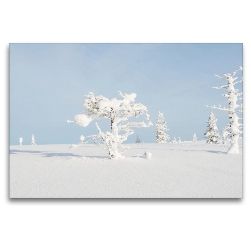 Baumskulptur, Finnland, Saariselkä