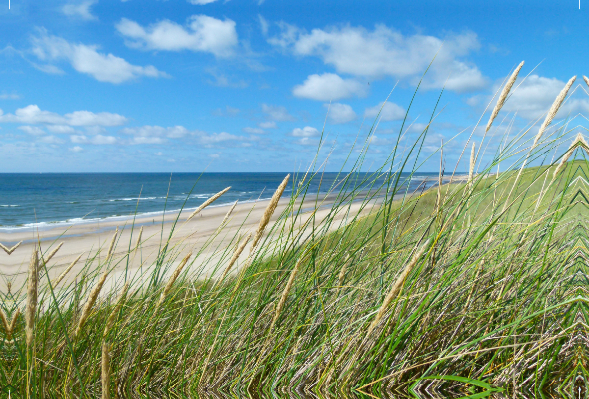 Dünenblick zum Meer