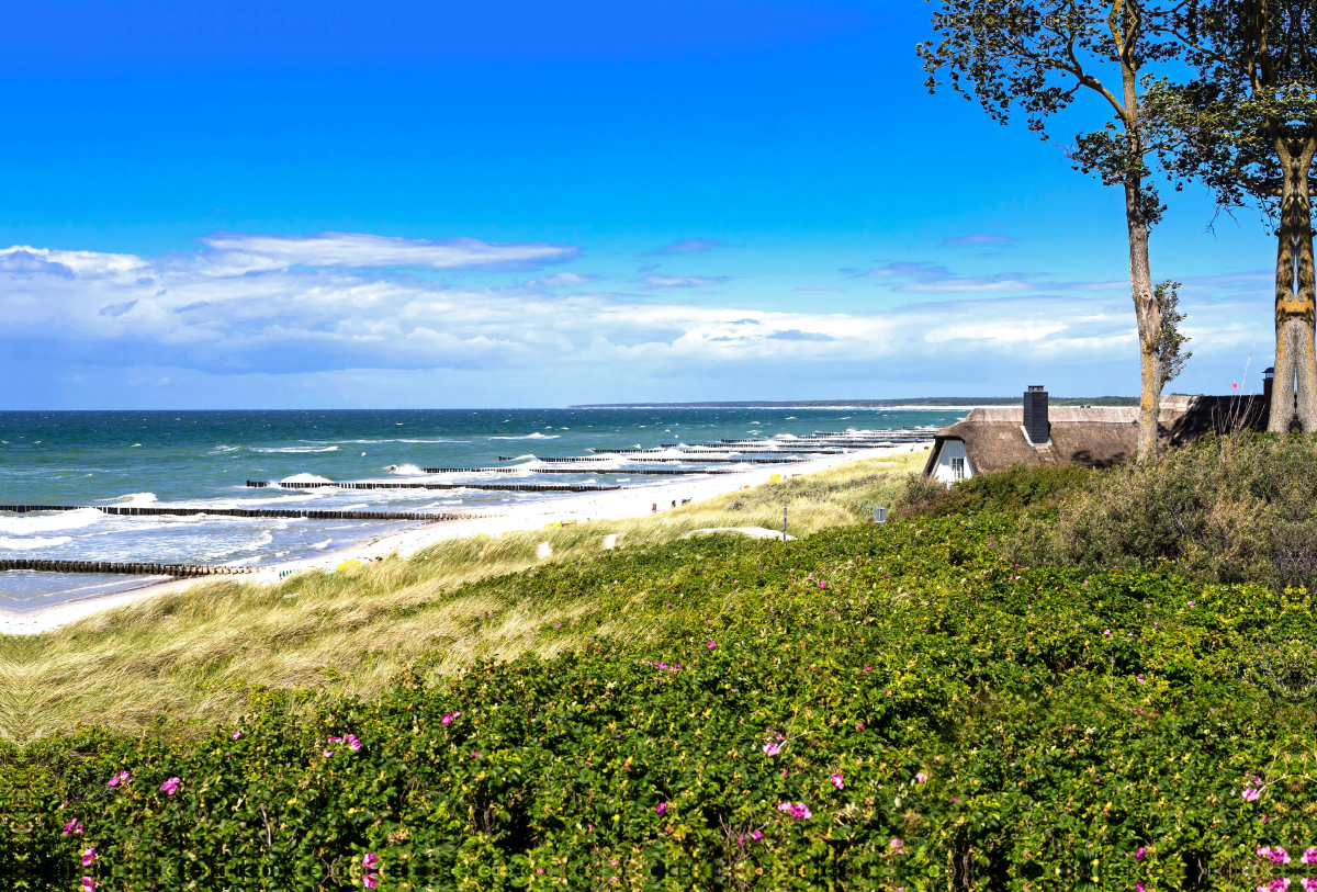 Strandblick bei Ahrenshoop