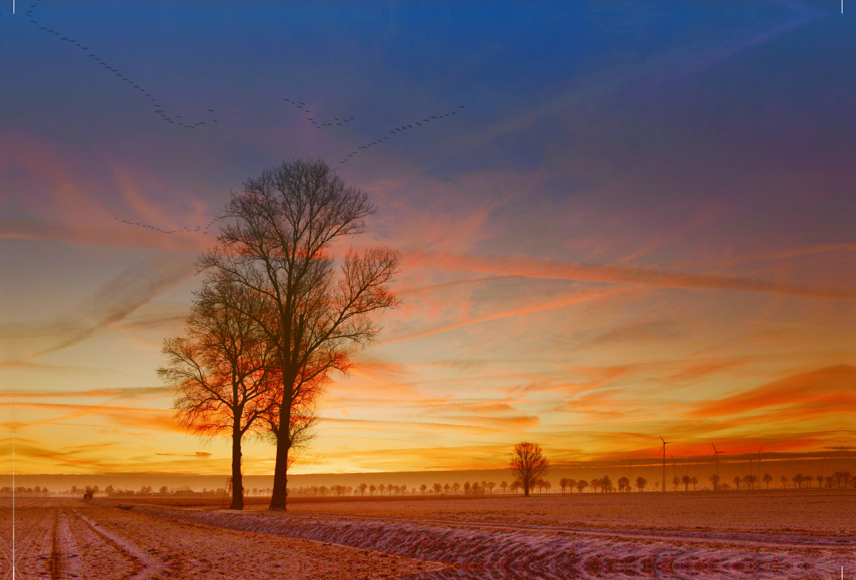 Sonnenaufgang im Winter, Felder im Landkreis Diepholz