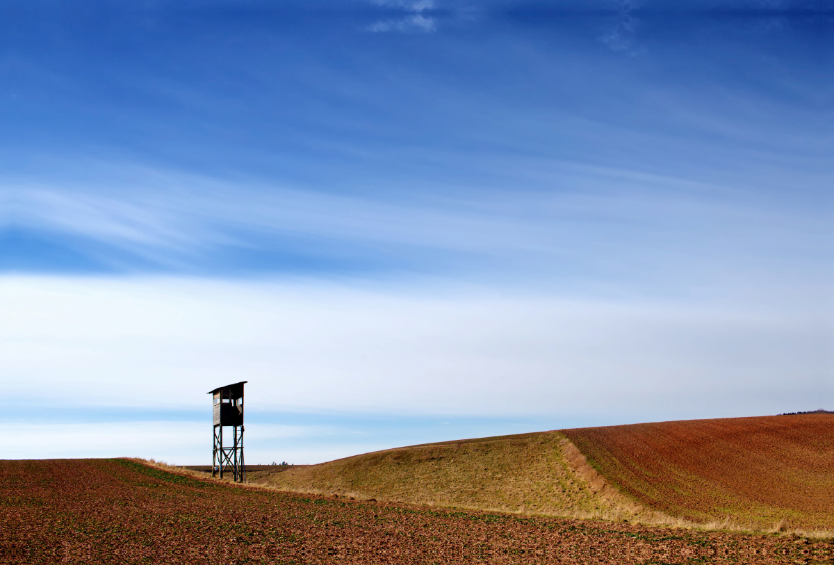 Februarmorgen, Hochsitz am Feldrand