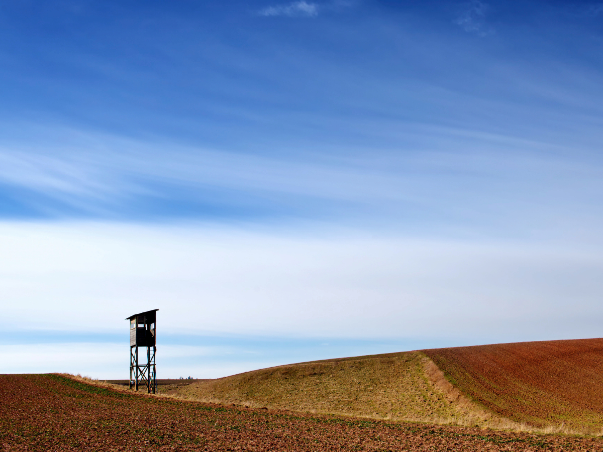 Februarmorgen, Hochsitz am Feldrand