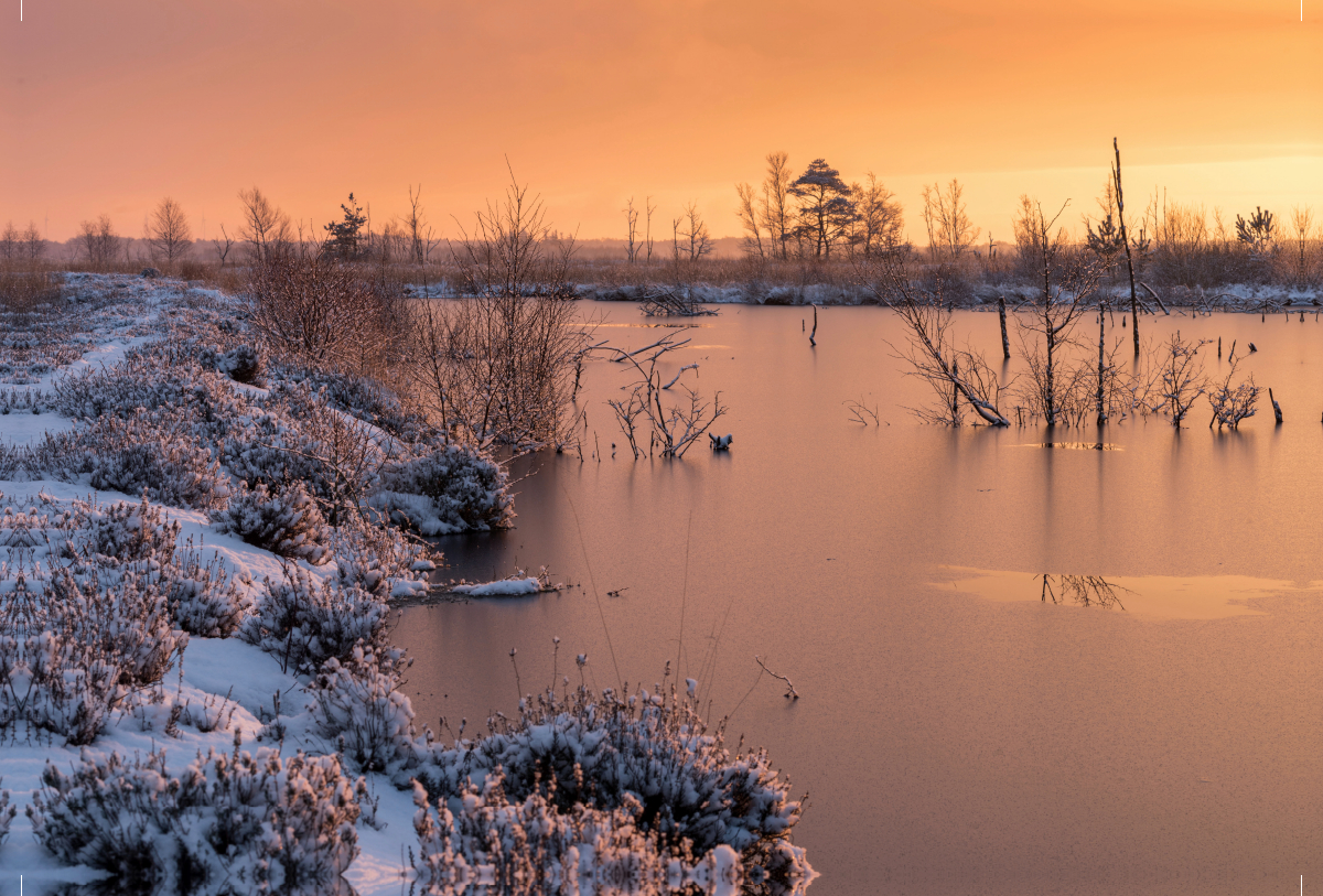 Diepholzer Moorniederung im Winter