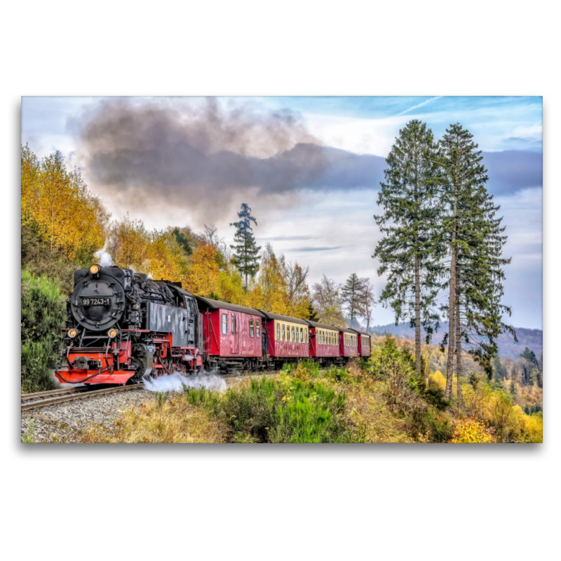 Harz, Dampflokomotive 997243-1 der Harzer Schmalspurbahnen