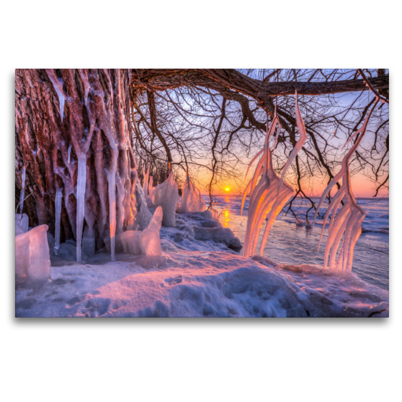 Eiszapfen am Südufer der Müritz nach Wintersturm