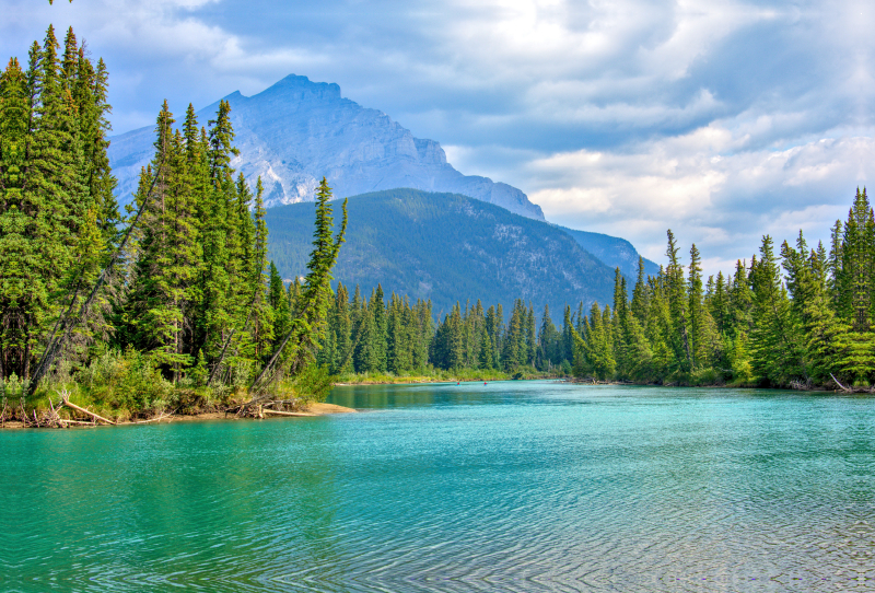 Bow River bei Banff