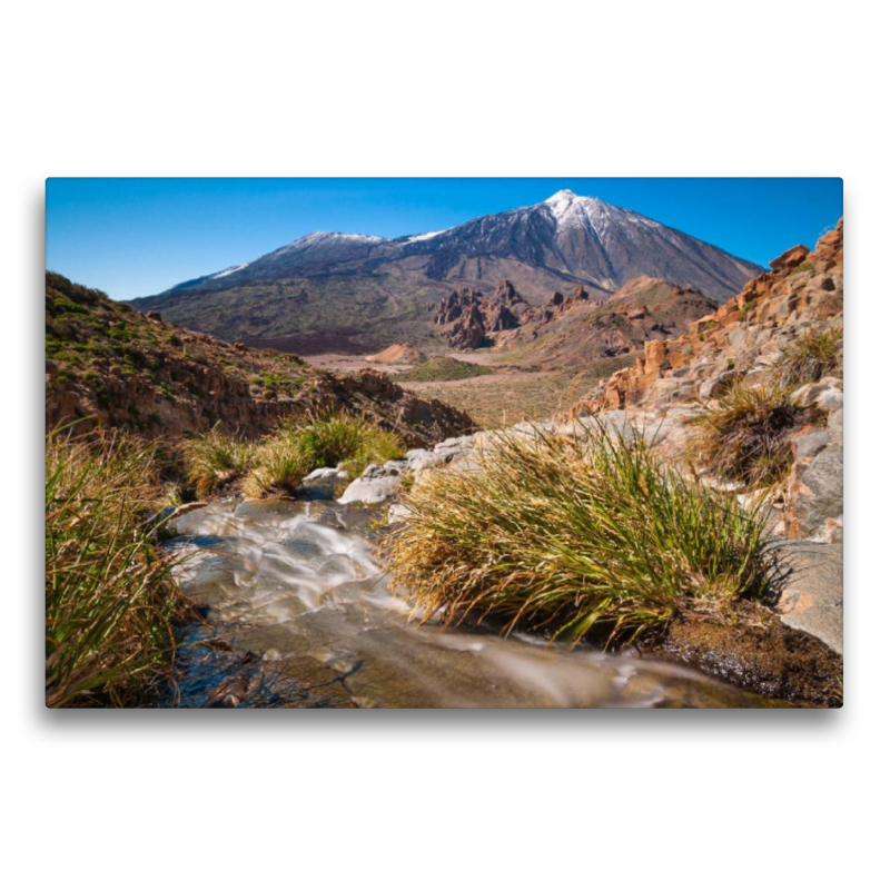 Frühling am Teide