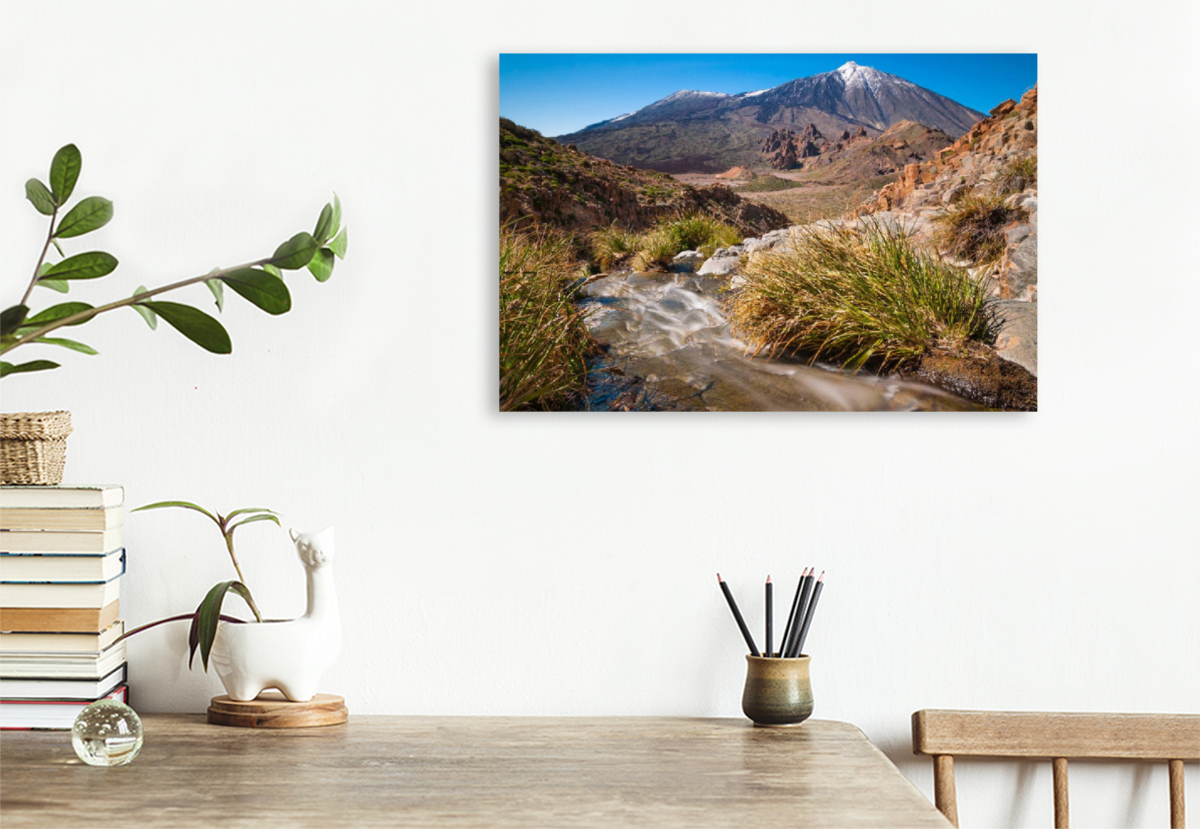 Frühling am Teide