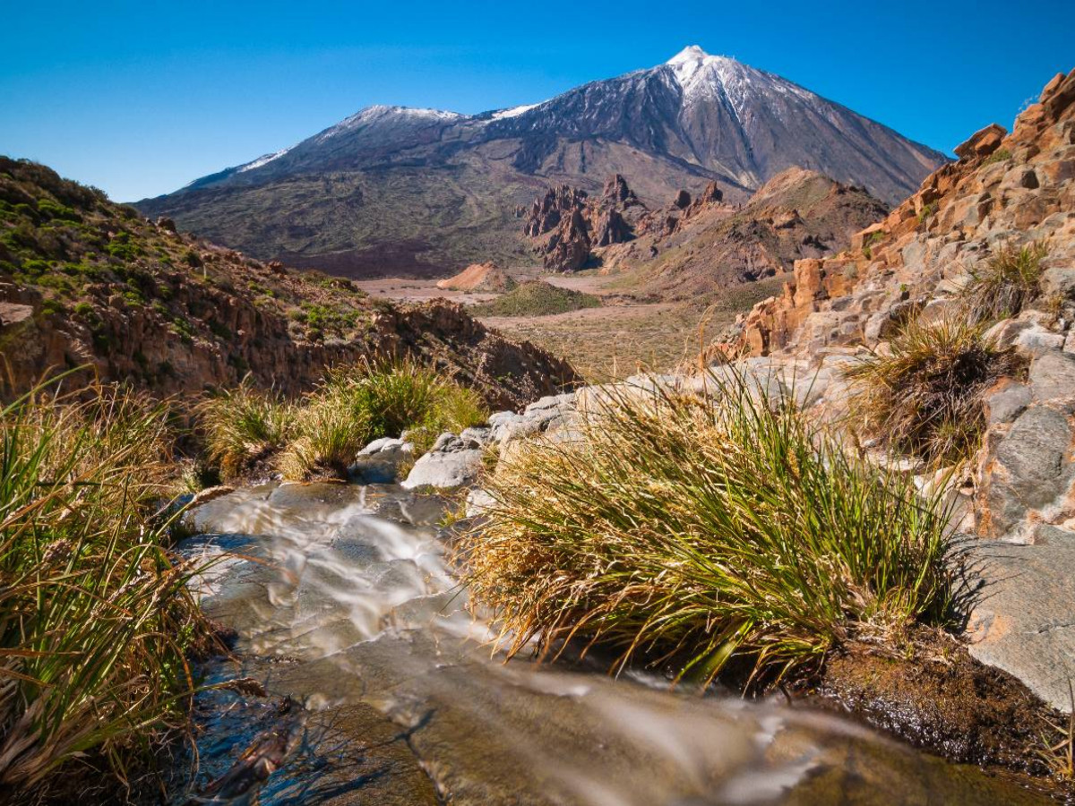 Frühling am Teide