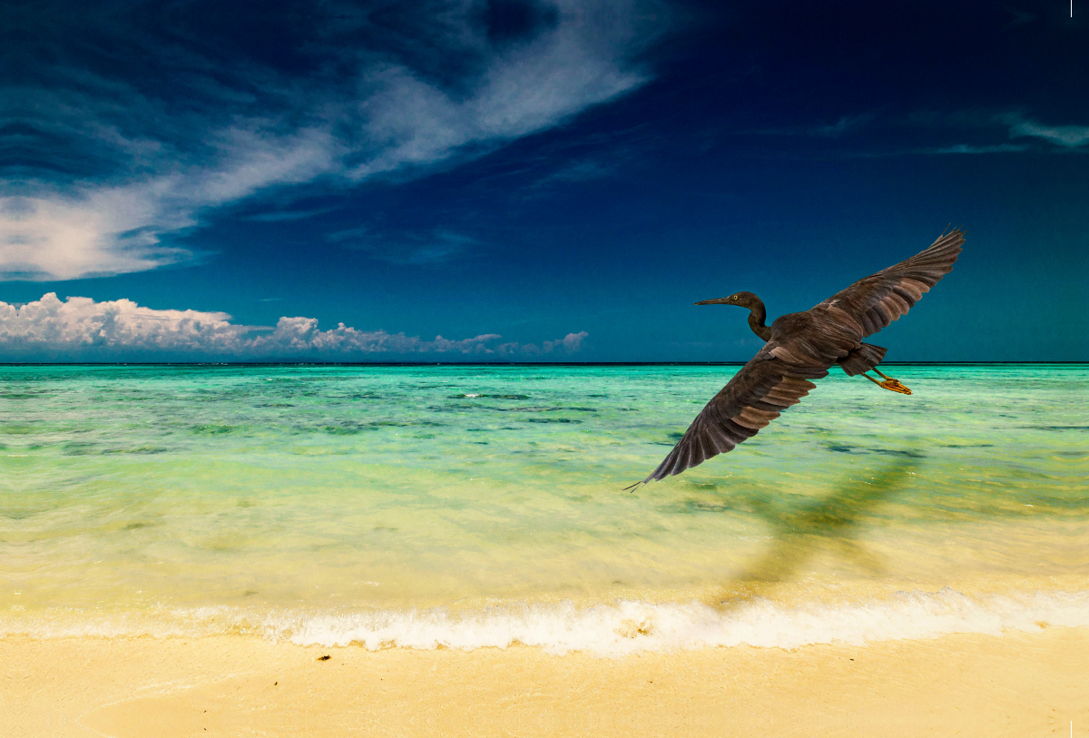 Traumstrand auf Mantanani Island, Borneo.