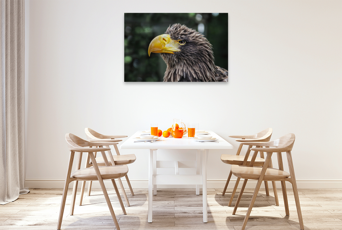 Seeadler