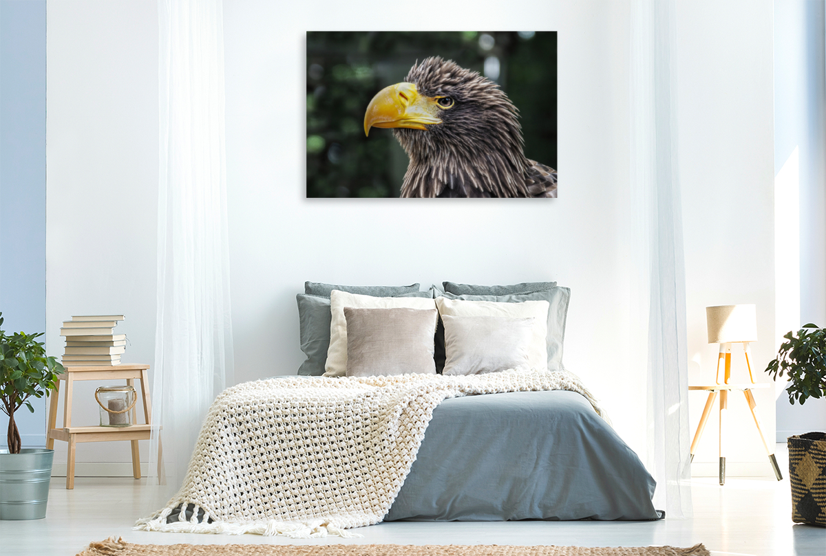 Seeadler