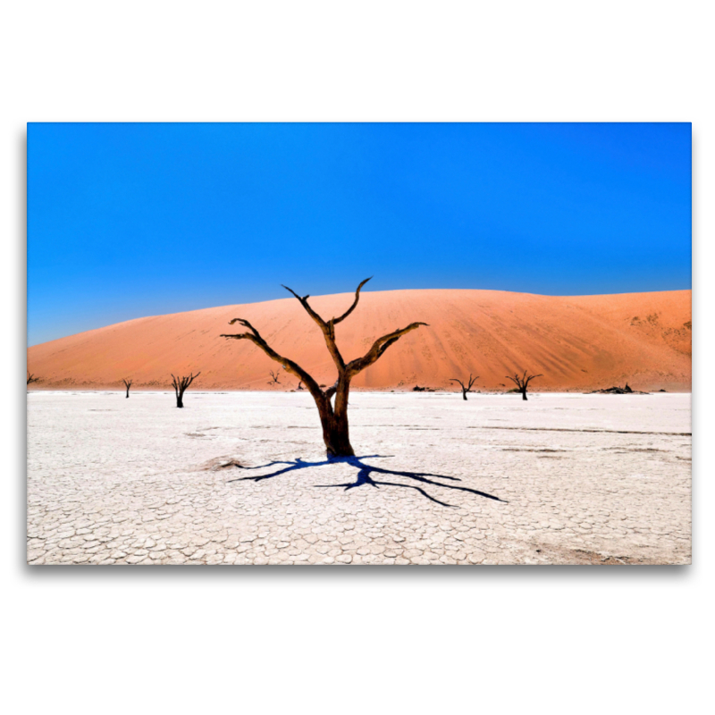 Dead Vlei