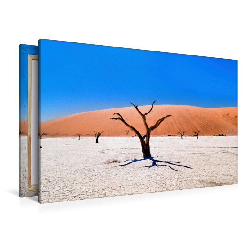 Dead Vlei