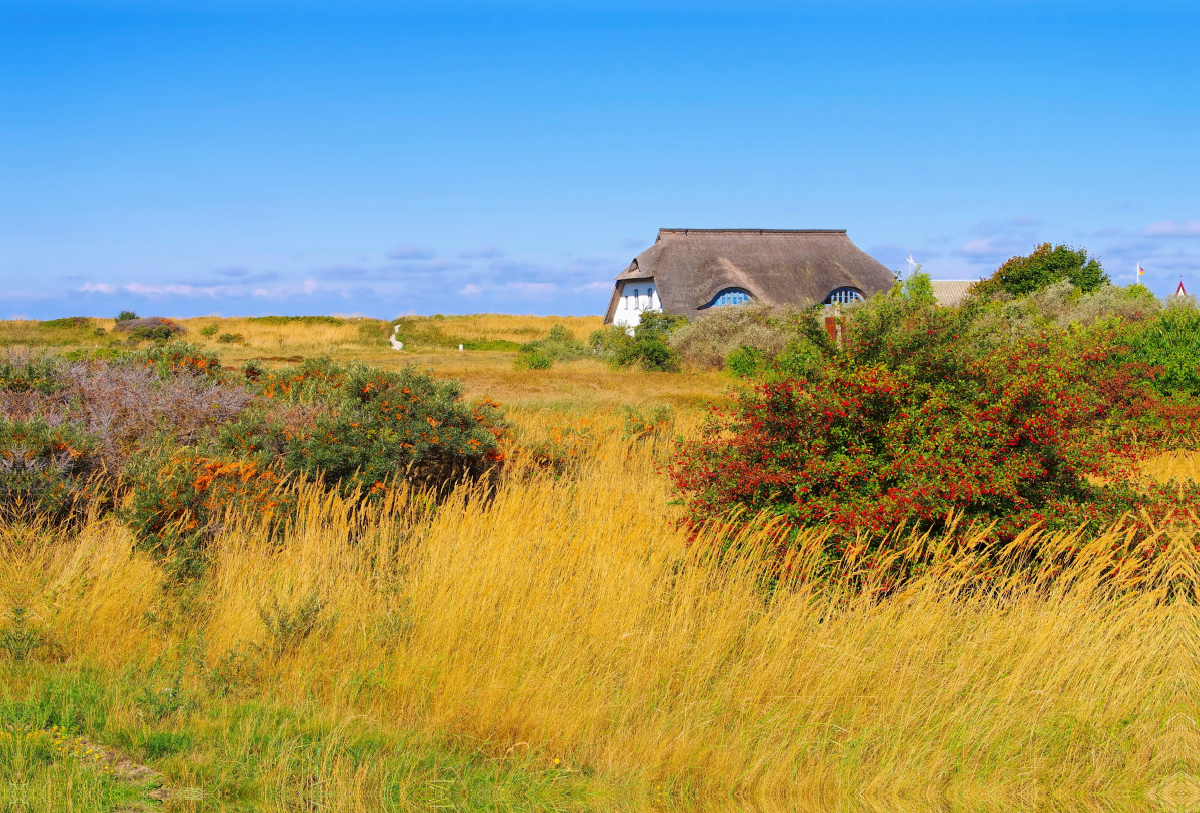 Haus in den Dünen