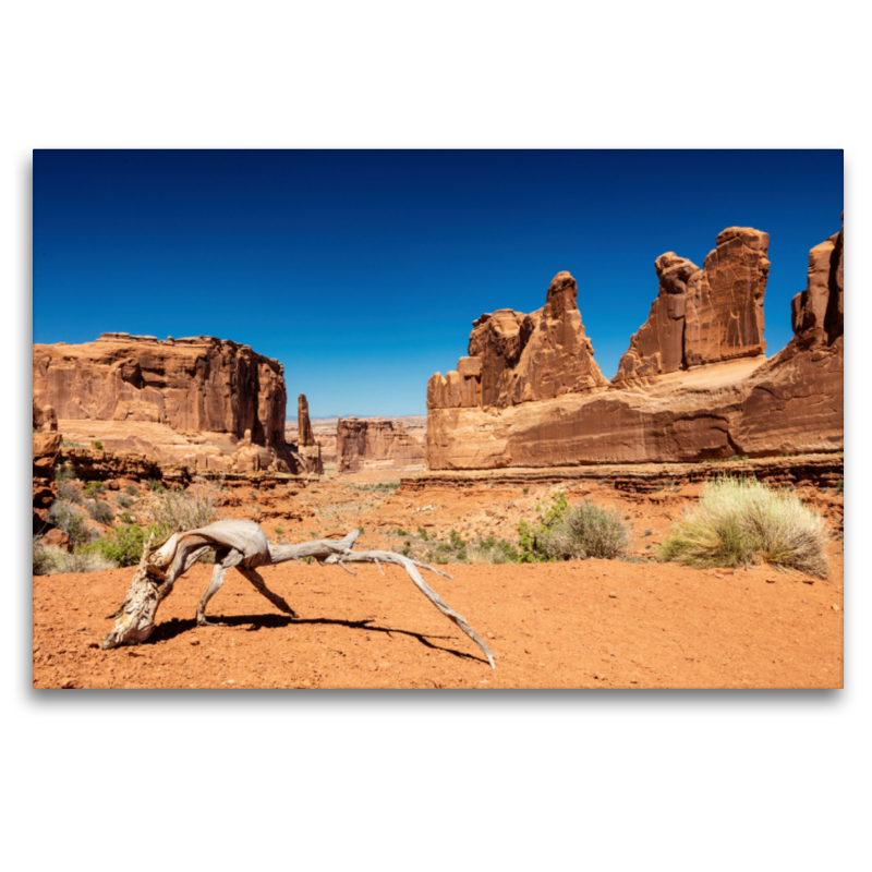 Park Avenue in Arches National Park